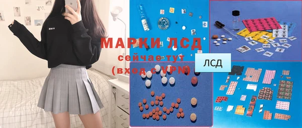 сатива Надым
