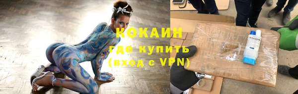 сатива Надым