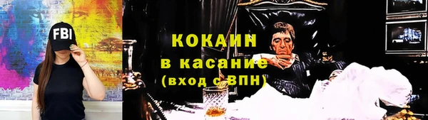 сатива Надым
