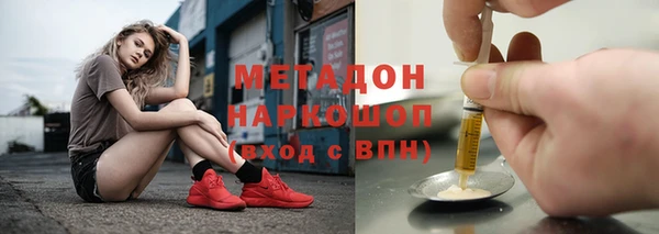 сатива Надым