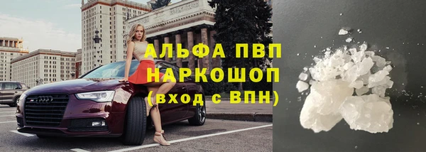сатива Надым