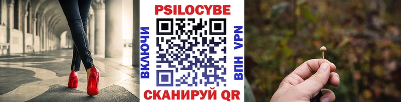 Галлюциногенные грибы мицелий  Дубовка 