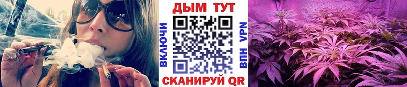 МАРИХУАНА индика  сайты даркнета как зайти  Дубовка 